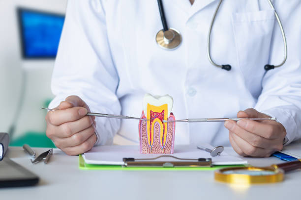 Best Emergency Dentist for Knocked-Out Tooth in Running Springs, CA